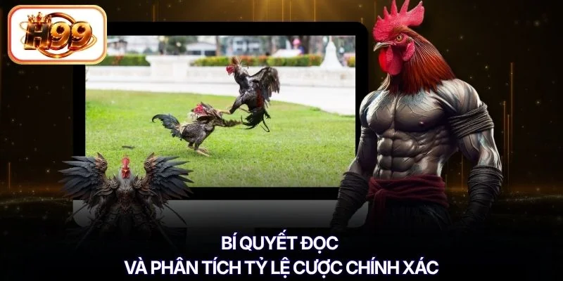 Bí quyết đọc và phân tích tỷ lệ cược chính xác