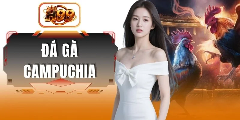 Đá Gà Campuchia - Loại Hình Giải Trí Đắt Khách Mọi Lúc