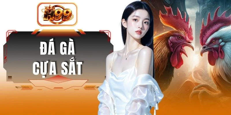 Đá Gà Cựa Sắt - Kinh Nghiệm Lựa Chọn Chiến Kê Dũng Mãnh