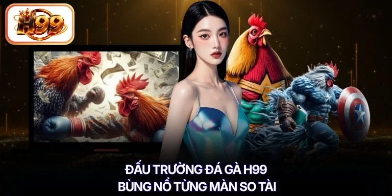 Đấu trường đá gà H99 bùng nổ từng màn so tài