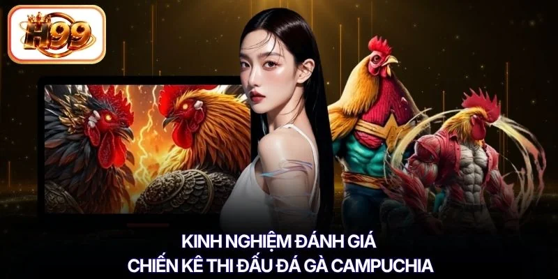 Kinh nghiệm đánh giá chiến kê thi đấu đá gà Campuchia