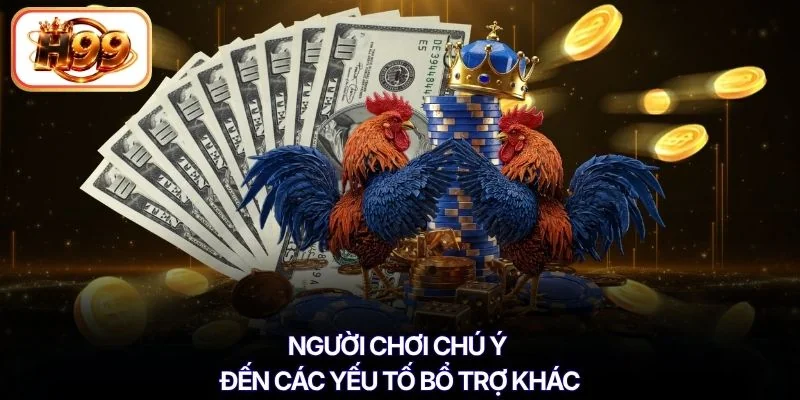Người chơi chú ý đến các yếu tố bổ trợ khác