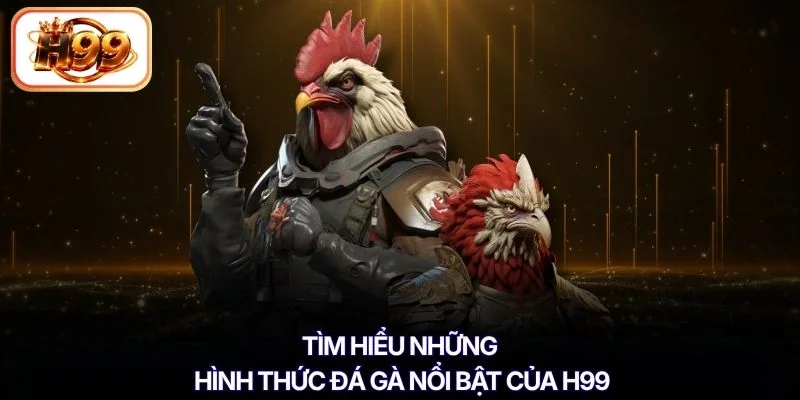 Tìm hiểu những hình thức đá gà nổi bật của H99